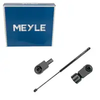 MEYLE Heckklappend&auml;mpfer D&auml;mpfer Heckklappe f&uuml;r FORD C-Max Focus C-Max DM2 1252806