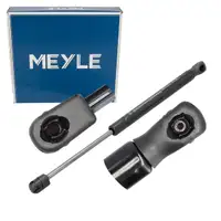 MEYLE Heckklappend&auml;mpfer Gasfeder D&auml;mpfer Heckklappe f&uuml;r TESLA Model X (5YJX) 105360600B