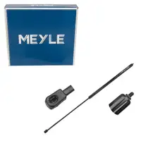 MEYLE 2409100002 Haubenlifter Motorhaubend&auml;mpfer f&uuml;r MERCEDES-BENZ SLK R170 1708800229