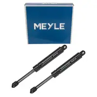 2x MEYLE 2401610180 Heckklappend&auml;mpfer f&uuml;r MERCEDES-BENZ E-Klasse T-Model S124 1249800164
