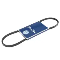 MEYLE Keilrippenriemen f&uuml;r RENAULT Clio 2 Kangoo LAND ROVER Freelander 1 SUZUKI Alto 6