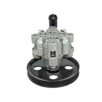 MEYLE 44-146310000 Hydraulikpumpe Lenkung f&uuml;r CHRYSLER Voyager 4 RG 2.5/2.8 CRD 4743974AB
