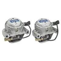 MEYLE 1001993101/S Motorlager Hydrolager Satz f&uuml;r AUDI A8 D4 4H links rechts 4G0199381LC