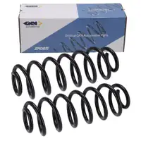 2x SPIDAN 86484 Fahrwerksfeder Schraubenfeder f&uuml;r VW Passat Tiguan 5N bis 05.2016 hinten