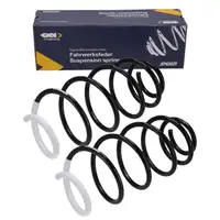 2x SPIDAN Fahrwerksfeder f&uuml;r PSA Berlingo Multispace C4 Picasso 1 Nemo Partner Tepee vorne