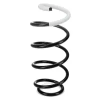 SPIDAN 86355 Fahrwerksfeder f&uuml;r VW Golf 5 6 Beetle SKODA Octavia 2 Vorderachse 1K0411105AQ