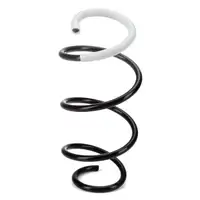 2x SPIDAN 88325 Fahrwerksfeder f&uuml;r RENAULT Clio 4 mit Standard Fahrwerk Vorne 540107646R