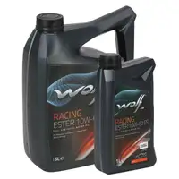 6L 6 Liter WOLF RACING ESTER 10W-60 FS Motor&ouml;l API SN BMW M-SERIES FORD PORSCHE
