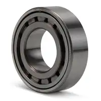 Zylinderrollenlager f&uuml;r PORSCHE 911 2.2-3.3 924 2.0 / Turbo / Carrera GT 99911014601