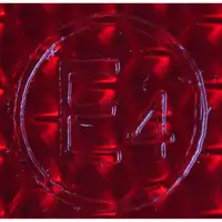 Reflektor R&uuml;ckstrahler Sto&szlig;stange f&uuml;r VW Multivan Transporter T5 hinten links