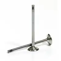 2x TRW Auslassventil f&uuml;r BMW 1er E87 3er E46 E90-E93 E60 E39 X3 M47/57 N47/57 11342247077