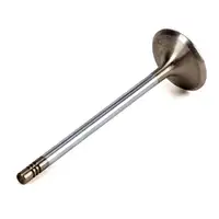 2x TRW 30901 Auslassventil für PORSCHE Panamera (970) 4.8 S / GTS 400/430 PS 94810532202