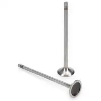 8x TRW Auslassventil f&uuml;r CITROEN C2 C4 PEUGEOT 207 208 308 1.6 MINI R55 R56 R59 N12 N16