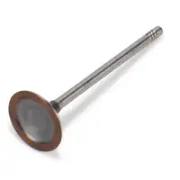 2x TRW 111226 Intake Valve for BMW 1 Series F20 F21 114-120i, 3 Series F30 316/320i N13 11347585901