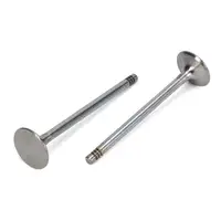 12x TRW Einlassventil + 12x Auslassventil f&uuml;r BMW E90-E93 E60 E61 E63 E65 X3 X5 X6 M57 N57