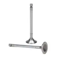 2x TRW 261122 Intake Valve for MERCEDES W203, S203, CL203, C/A209, W211, S211, M271, 2710530001