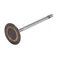 2x TRW 300106 Einlassventil f&uuml;r PORSCHE 997 991 3.4/3.6 Carrera Boxster Cayman 9A110531202