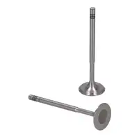 8x TRW Einlassventil + 8x Auslassventil + 16x ELRING Dichtungen f&uuml;r VW Golf 4 5 6 1.4 1.6