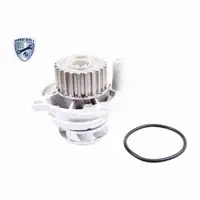 VAICO Zahnriemensatz + Wasserpumpe f&uuml;r VW Golf 4 5 6 Passat B5 B5.5 B6 Touran 1.6