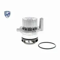 VAICO Zahnriemensatz + Wasserpumpe + 3L Frostschutz f&uuml;r VW Golf 6 Passat T5 T6 1.6/2.0 TDI