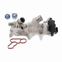 VAICO Wasserpumpe + Riemen + 3L Frostschutz f&uuml;r VW Golf 7 8 Passat B8 Polo 6 1.0/1.5 TSI
