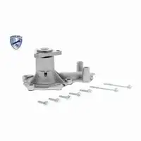 VAICO Timing Belt Kit + Water Pump + 5L 5W20 Engine Oil for FORD Fiesta Focus 1.0 EcoBoost