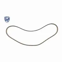 VAICO Timing Belt Kit + Water Pump + 5L 5W20 Engine Oil for FORD Fiesta Focus 1.0 EcoBoost