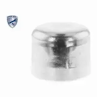 VAICO Zahnriemensatz + Wasserpumpe 3L Frostschutz f&uuml;r RENAULT Laguna Megane Scenic 1.4 1.6