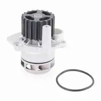 VAICO V10-50060 Wasserpumpe f&uuml;r VW Polo 4 SKODA Fabia 1 SEAT Ibiza 3 Cordoba 6L 1.9 SDI