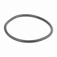 VAICO V10-50060 Wasserpumpe f&uuml;r VW Polo 4 SKODA Fabia 1 SEAT Ibiza 3 Cordoba 6L 1.9 SDI