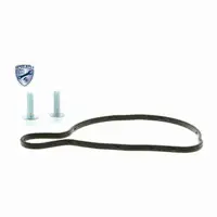 VAICO Wasserpumpe f&uuml;r AUDI A4 B6 B7 B8 A6 C6 C7 Q7 4L VW Touareg 7L 7P 4.0/4.2 079121012B