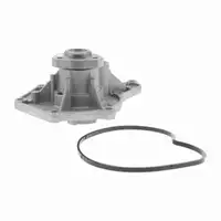 VAICO V10-50066 Wasserpumpe f&uuml;r AUDI A4 B8 A5 8T 8F A6 C6 A8 D3 Q5 2.8/3.2 FSI 06E121018B