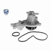 VAICO V20-4292 Wasserpumpe f&uuml;r BMW 3er G20 G21 5er G30 G31 X3 G01 X4 G02 1.6/2.0i B48