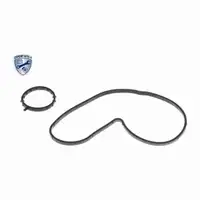 VAICO V20-4292 Wasserpumpe f&uuml;r BMW 3er G20 G21 5er G30 G31 X3 G01 X4 G02 1.6/2.0i B48