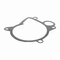 VAICO V20-50033 Wasserpumpe f&uuml;r BMW 3er E46 E90 E91 5er E60 E61 1er E87 2.0D M47 N47