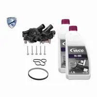 VEMO Wasserpumpe + Riemen + 3L Frostschutz f&uuml;r VW Golf 7 Passat B8 Polo 5 1.4 TSI/GTE