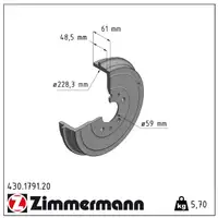 ZIMMERMANN Brake Drums + Brake Shoes for OPEL Combo X12 and FIAT Doblo 263 (Rear)