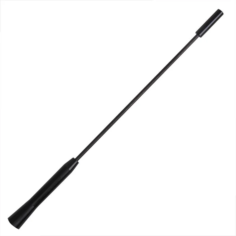 PROPLUS 760764 Auto KFZ PKW Antenne Stabantenne 12, 17 oder 26cm inkl. M5 & M6 Adapter