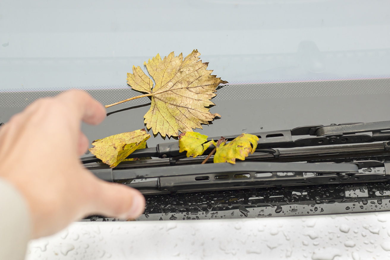 Hand approaches blades lying on the windscreen by the windscreen wipers to remove